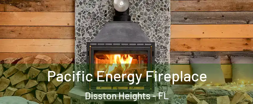 Pacific Energy Fireplace Disston Heights - FL