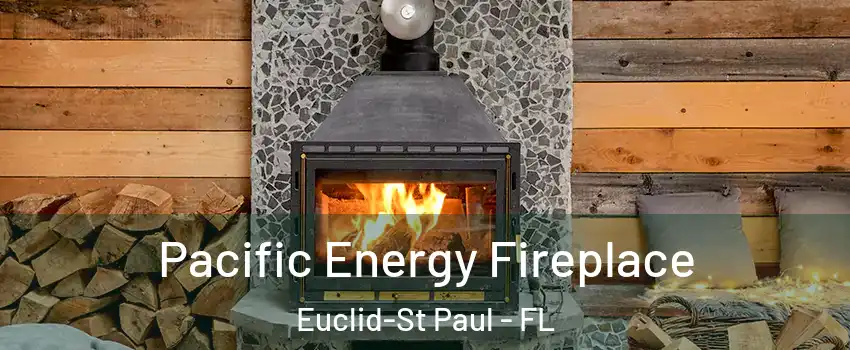 Pacific Energy Fireplace Euclid-St Paul - FL