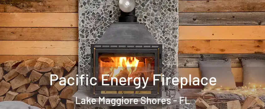 Pacific Energy Fireplace Lake Maggiore Shores - FL