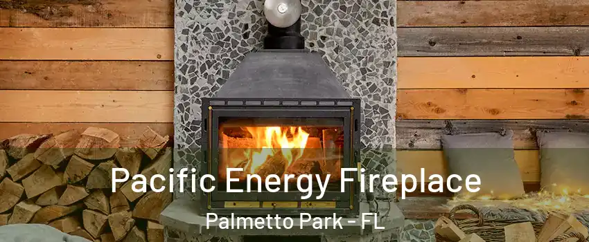 Pacific Energy Fireplace Palmetto Park - FL