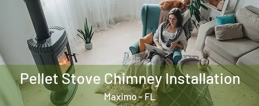 Pellet Stove Chimney Installation Maximo - FL