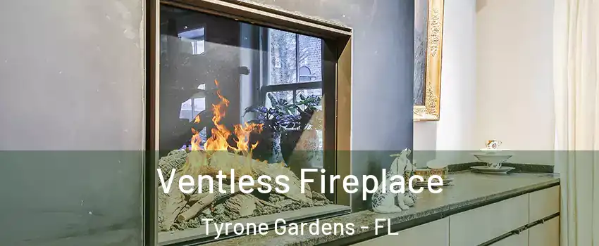 Ventless Fireplace Tyrone Gardens - FL